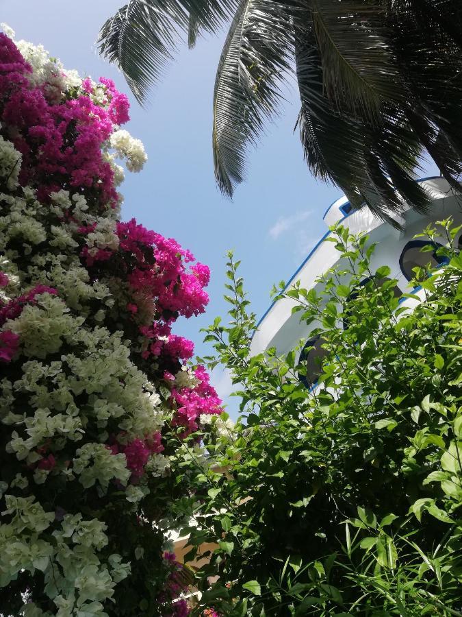 וואטאמו Chiky Villa מראה חיצוני תמונה