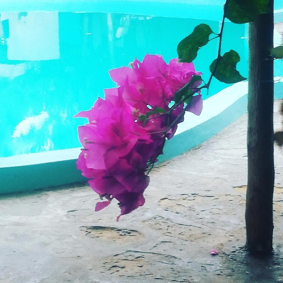 וואטאמו Chiky Villa מראה חיצוני תמונה
