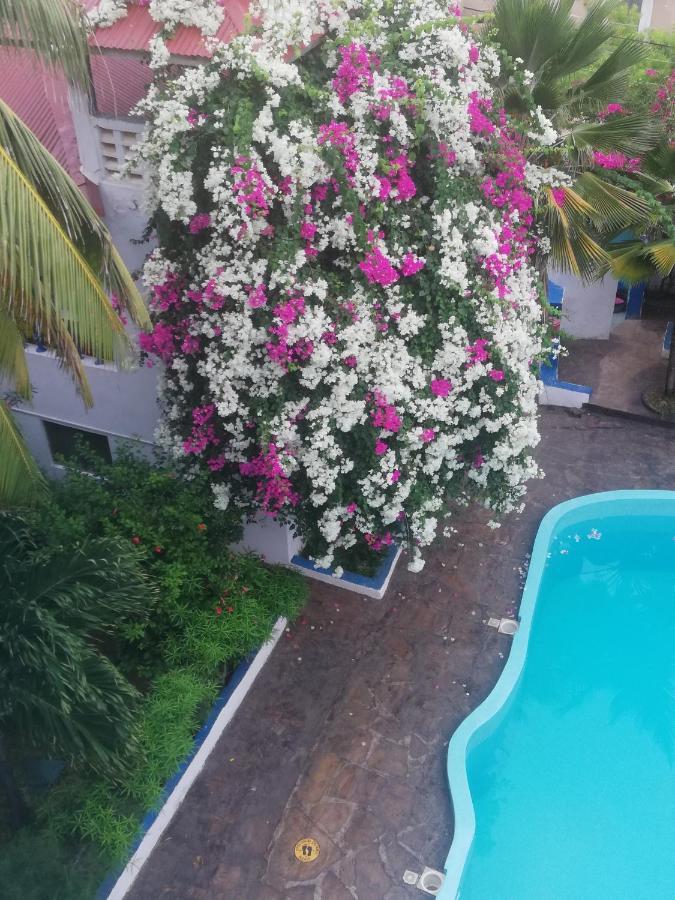וואטאמו Chiky Villa מראה חיצוני תמונה